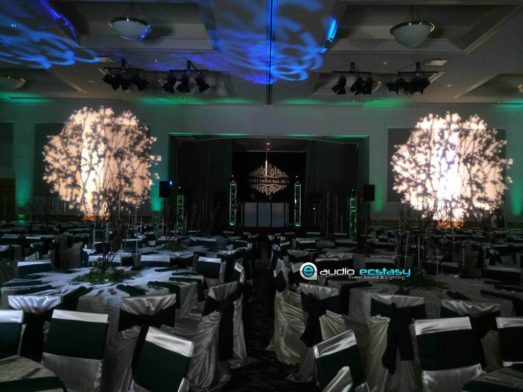 Dolce Hayes Mansion Lighting